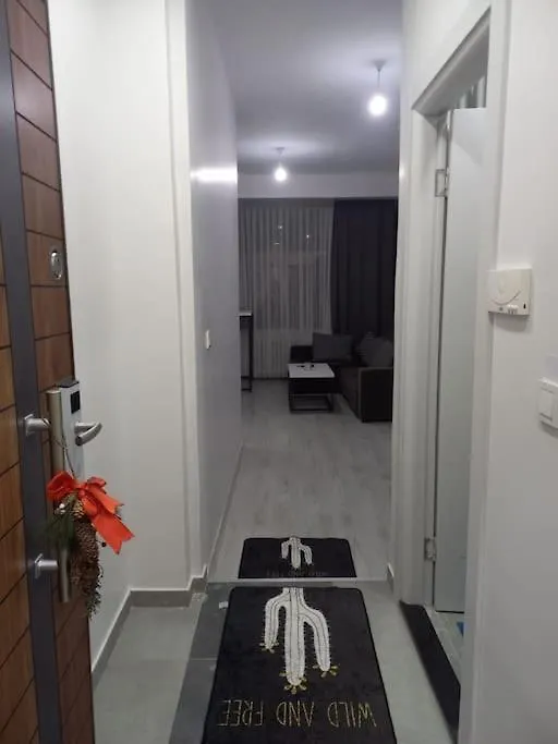 *Новая Квартира 1+1 Mecidiyekoy Apartment Istanbul